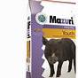 Mazuri Mini Pig Food How Much To Feed