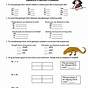 Genotype And Phenotype Practice Worksheets Answer Key