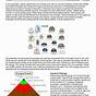 Food Chains Food Webs And Energy Pyramid Worksheet Answers K
