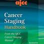 Ajcc Staging Manual 8th Edition Pdf