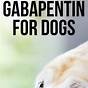 Gabapentin For Dogs Dosage Chart Ml
