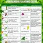 Vegetable Compatibility Planting Guide