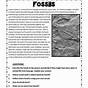 The Fossil Record Worksheets Answer Key