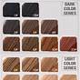 Hair Color Chart Numbers