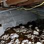Electrical Code For Wiring In A Crawl Space