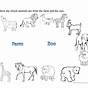 Zoo Animal Worksheets For Preschoolers