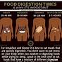 Food Digestion Time Chart Pdf