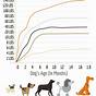 Weight Chart For Lab Puppies