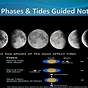 Tide Chart With Moon Phases