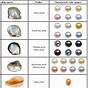 Freshwater Pearl Value Chart