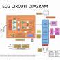Ecg Circuit Diagram