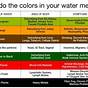 Ionic Foot Bath Color Chart