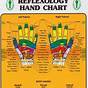 Reflexology Chart Of Feet And Hands