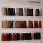 Goldwell Blonde Color Chart