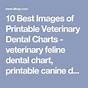 Veterinary Dental Chart Download