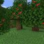 Apple Tree Minecraft