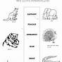 First Grade Worksheet Drawing Animals