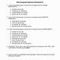 Electromagnetic Wave Worksheet Answers