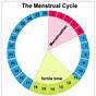 How To Read Ovulation Chart