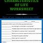 Game Of Life Worksheet