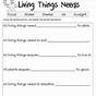 Elementary Facts Worksheet Science