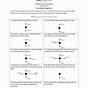 Body Diagram Worksheet With Answers