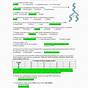 Dna Rna Worksheet