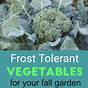 Most Cold Tolerant Vegetables