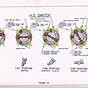 Harley Davidson Ignition Module Wiring Diagram