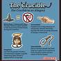 Act 1 Of The Crucible