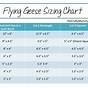 Flying Geese Measurement Chart