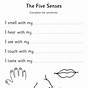 Five Senses Worksheet
