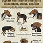 Dog Body Language Chart