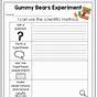 First Grade Science Experiment Worksheet
