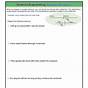 Diagramming Compound Sentences Worksheet