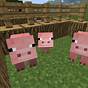 How To Breed Pigs Minecraft