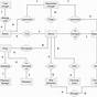 Er Diagram For Hospital Management System