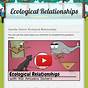 Ecological Relationship Worksheet Grade 7