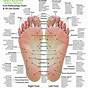 Foot Chart For Essential Oils