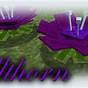 Purple Flower Minecraft