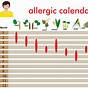 Food Pollen Allergy Chart