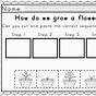 Counting Sequence Worksheet
