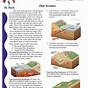 Tectonic Plates Worksheets