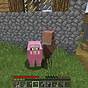 Spawn Sheep Minecraft