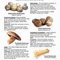 Wild Mushroom Season Chart