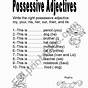 Possessive Adjective Worksheet For Class 3