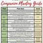 Compatible Vegetable Planting Guide