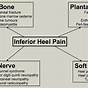 Heel Pain Differential Diagnosis