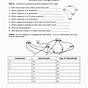 Forms Of Energy Worksheets 5th Grade