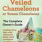 Facts About Veiled Chameleons